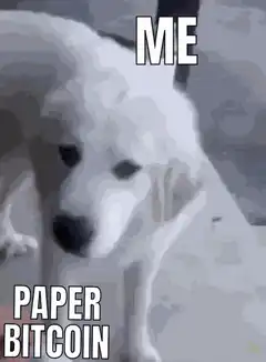 Me Paper Bitcoin Dog