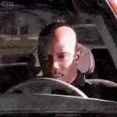 Common looking at the camera