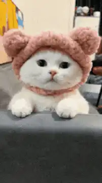 Cute cat in pink hat licking nose