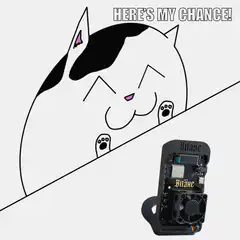 Cat Here's My Chance