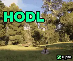 Dwight Schrute meditating with HODL text