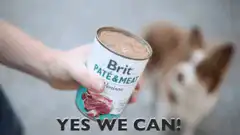 Dog excited for Brit pate