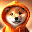 Shiba Inu in orange hoodie zooming