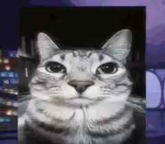Cat explosion and recovery