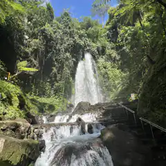 waterfall in lush green forest