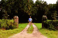 Man running from car on country road