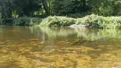 Clear shallow river with green banks