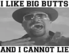 I Like Big Butts and I Cannot Lie
