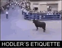 Man hugs bull during running of the bulls