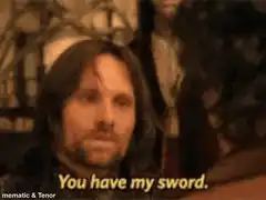 You have my sword Aragorn