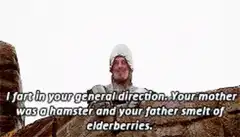 Monty Python French Knight insult
