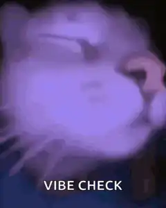 Vibe Check Cat