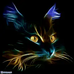 Colorful fractal cat face