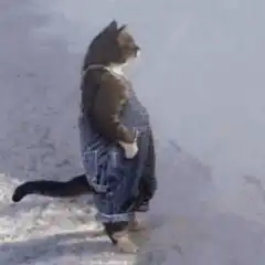 Cat in denim overalls spinning around