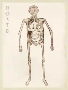 Nostr skeleton animation