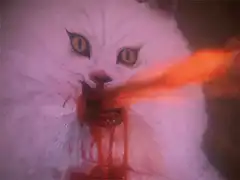 white cat breathing fire