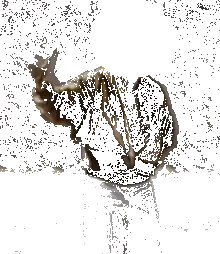 crumpled paper ball
