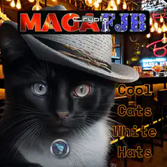 Cool Cats White Hats MAGA Crypto JB