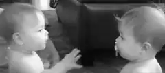 Two babies interacting on the floor