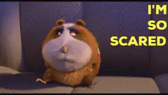 Scared guinea pig meme