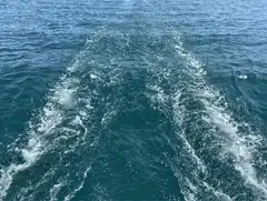 boat wake in ocean water