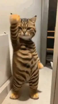 Bengal cat standing and dancing