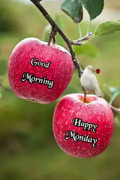 Good Morning Happy Monday Apples