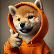 Shiba Inu in orange hoodie giving thumbs up