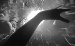 hand reaching through water surface