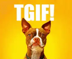 TGIF Dog Smiling