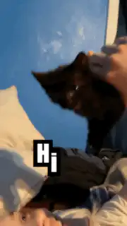 black kitten held up saying hi