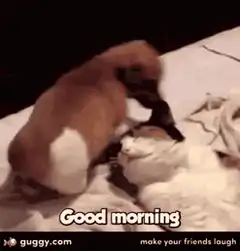 Puppy Good Morning Wake Up