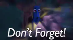 Dory Don't Forget