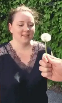 Woman blows dandelion seeds