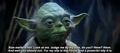 Yoda Size Matters Not