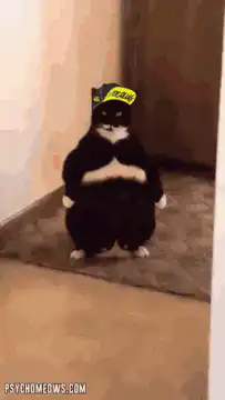 Chonky cat with glowing eyes and lightning