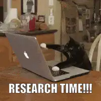 cat sitting on laptop research time