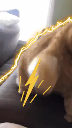 Orange cat biting with lightning effects