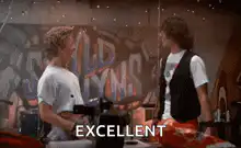 Bill and Ted Excellent