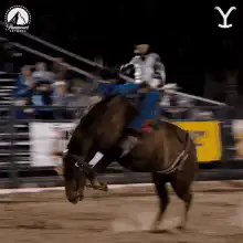 Bull rider gets bucked off