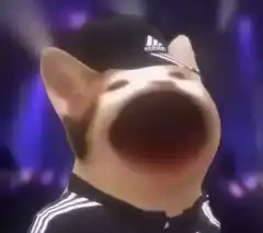 Cat singing into microphone