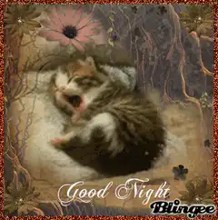 Sleeping Kitten Good Night