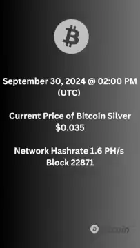Bitcoin Silver Price and Network Stats