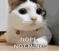 Cat Nope Not Mine