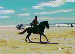 Woman riding horse on beach