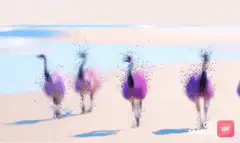purple ostriches walking on beach
