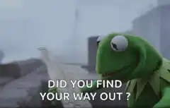 Kermit the Frog looking at a map