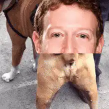 Mark Zuckerberg dog butt