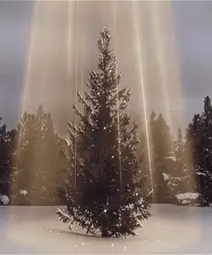 Christmas tree with angelic light beams