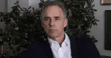 Jordan Peterson Sorry Not Beautiful